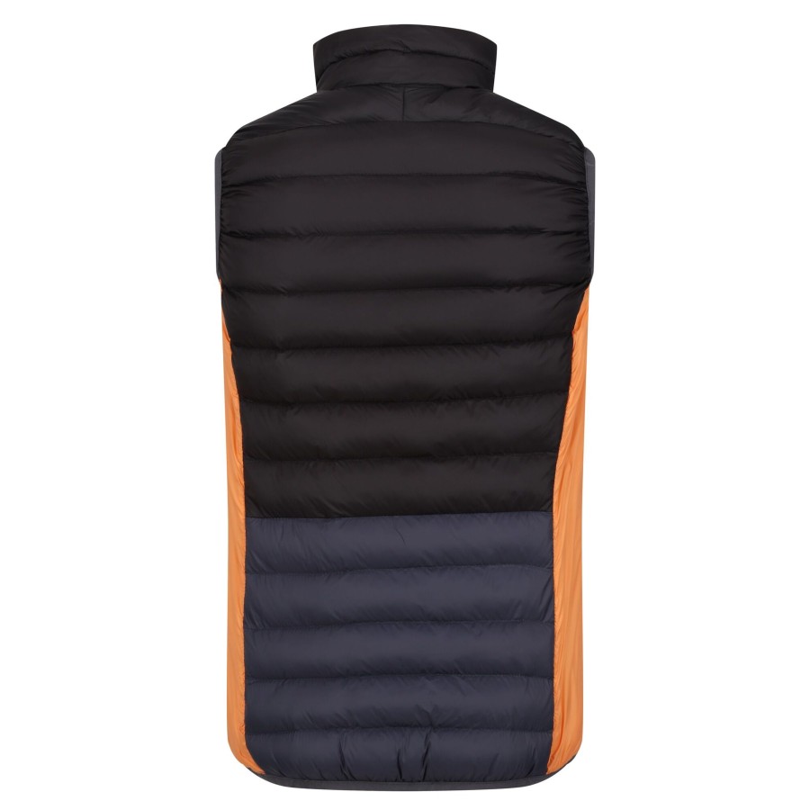 Clothing Penningtons | Regatta - Womens/Ladies Harrock Ii Baffled Vest - Penningtons