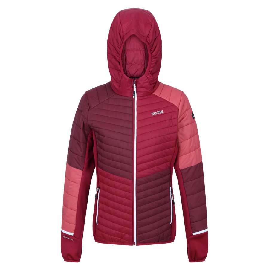 Clothing Penningtons | Regatta - Womens/Ladies Trutton Ii Baffled Hooded Jacket - Penningtons